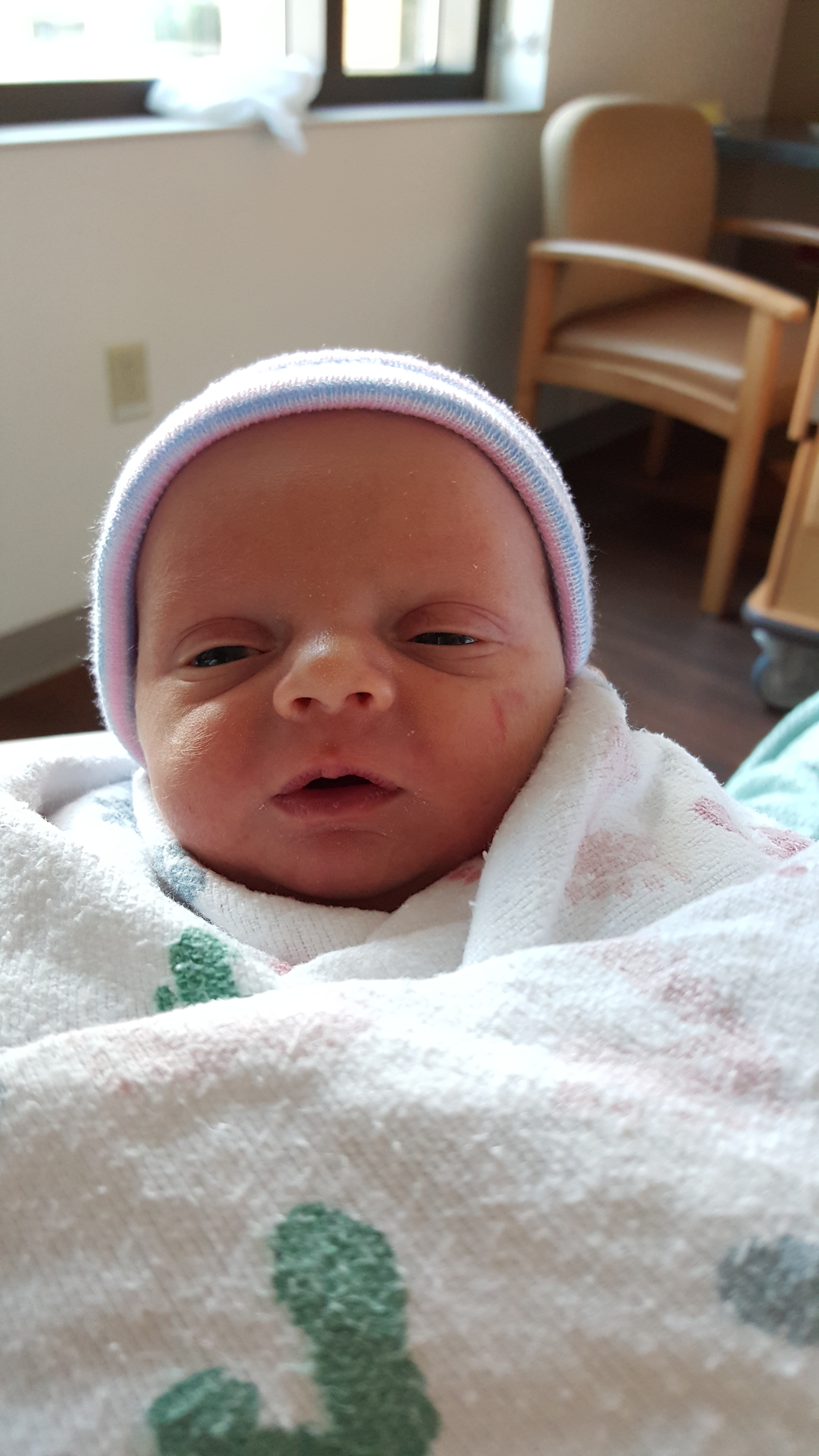 2015-07-11 17.37.17.jpg