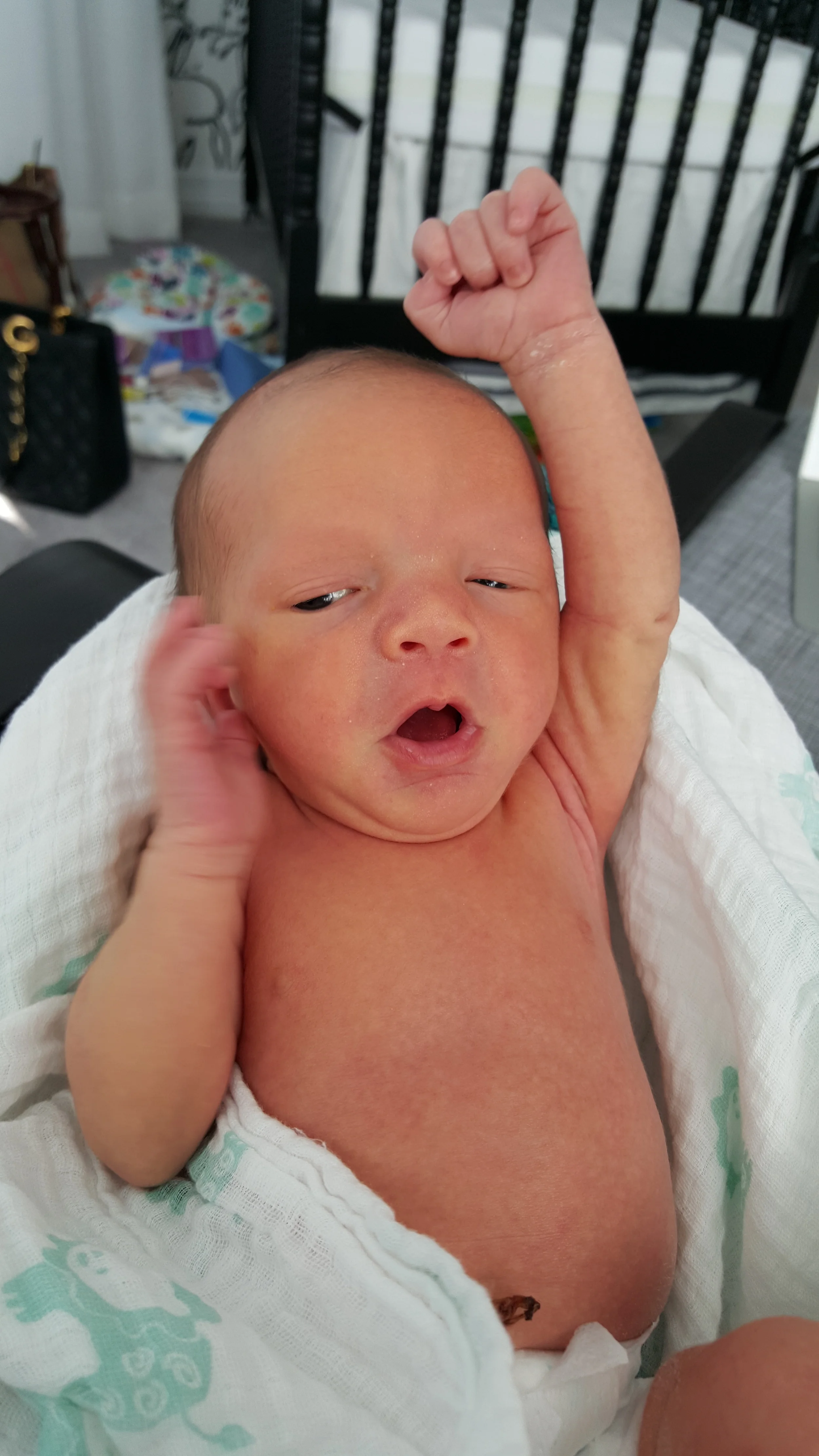 2015-07-18 08.19.32.jpg