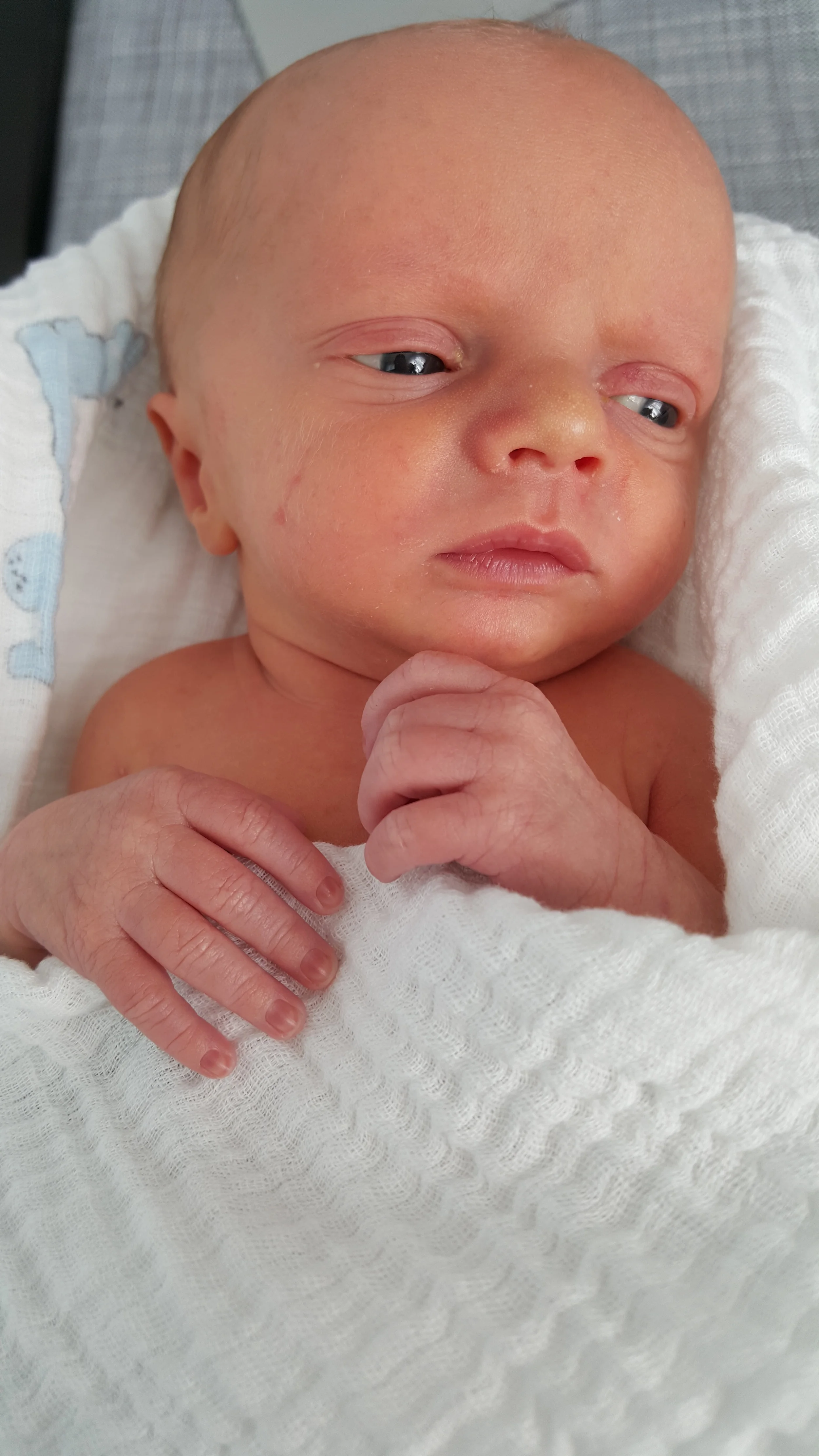 2015-07-18 09.23.26.jpg