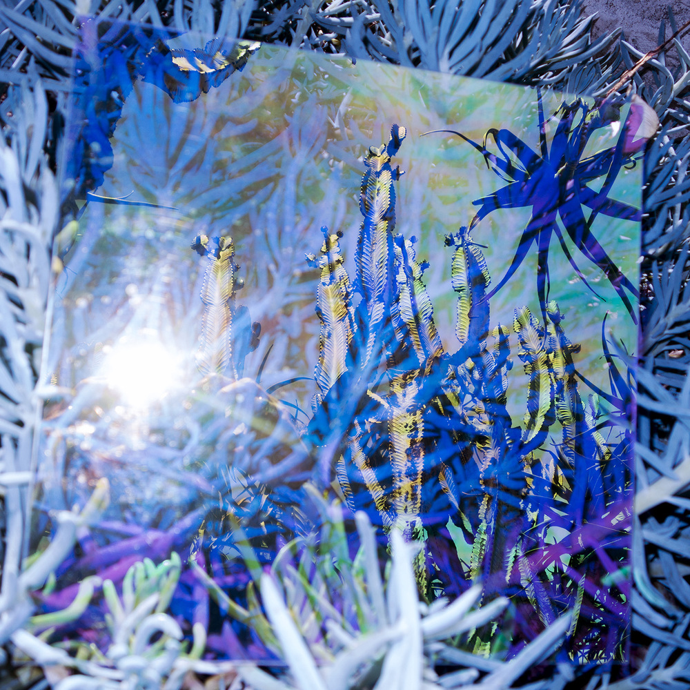  From Heterotopia