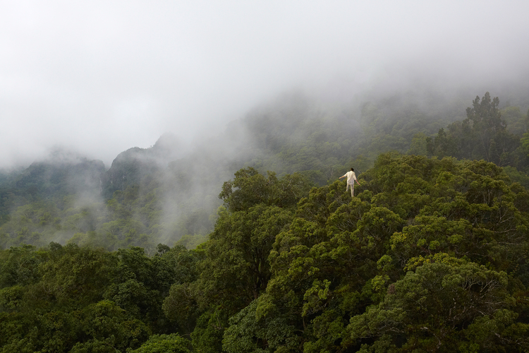 © Christoph Both-Asmus, from The Tree Walker / Courtesy Alma on Dobin