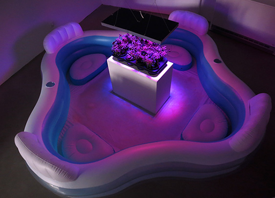 Heaven's Gate, 2015 Black velvet petunias, LED grow lamps, epsom salt, inflatable pool. View from Heartspace (sitting still within, sitting still without) at Mélange Cologne, May 2015