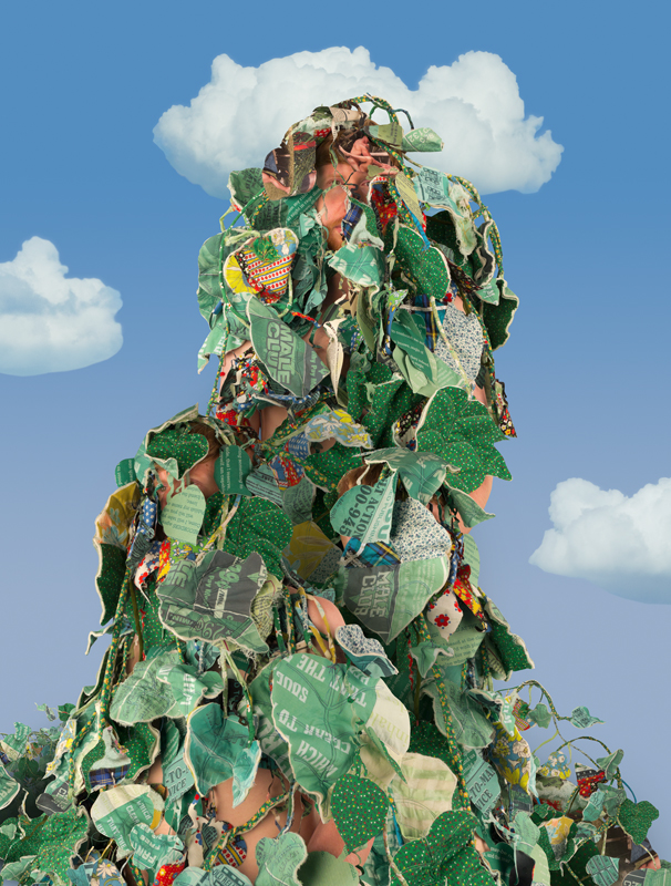 Invasive, made in collaboration with Aaron McIntosh, 2014, archival inkjet print From Strange Terrain . 