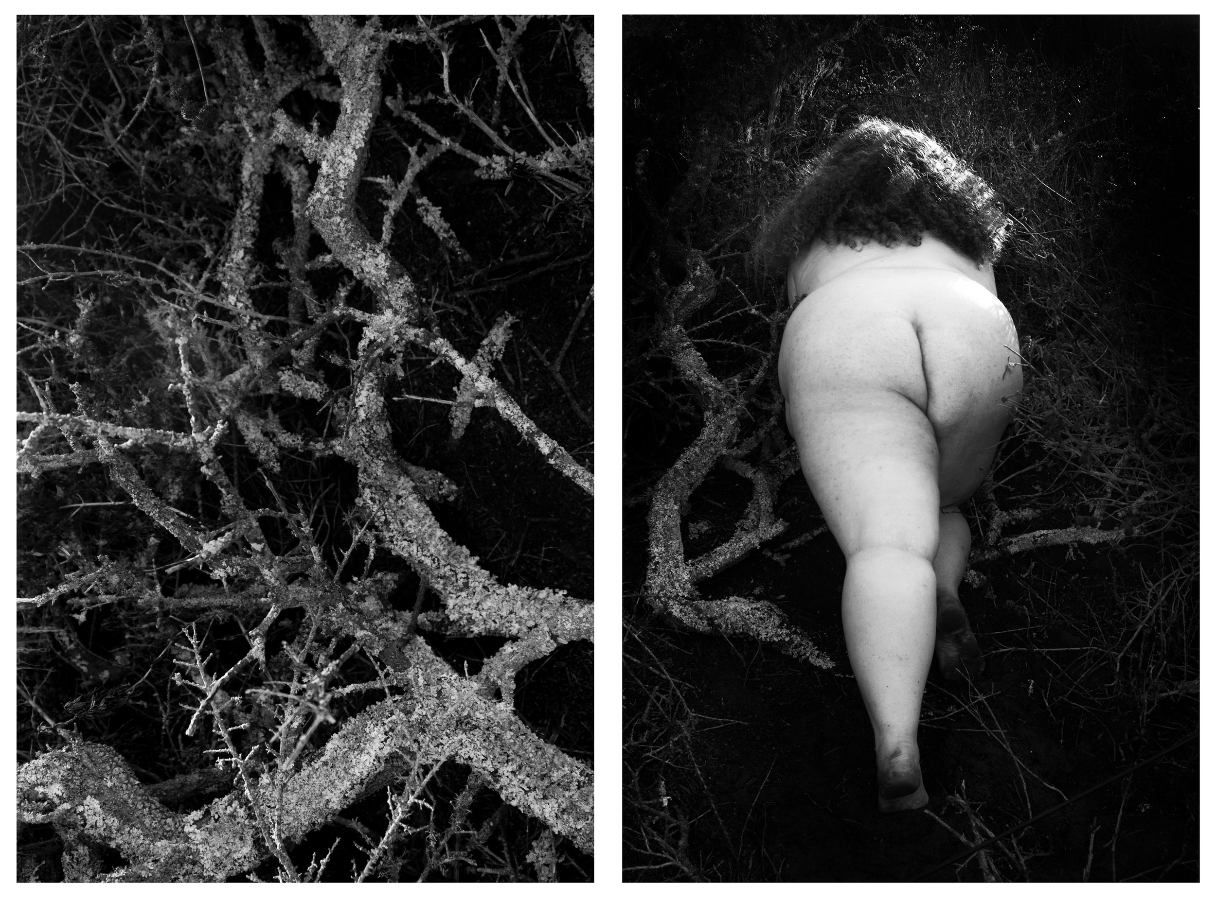 © Brittney Cathey-Adams