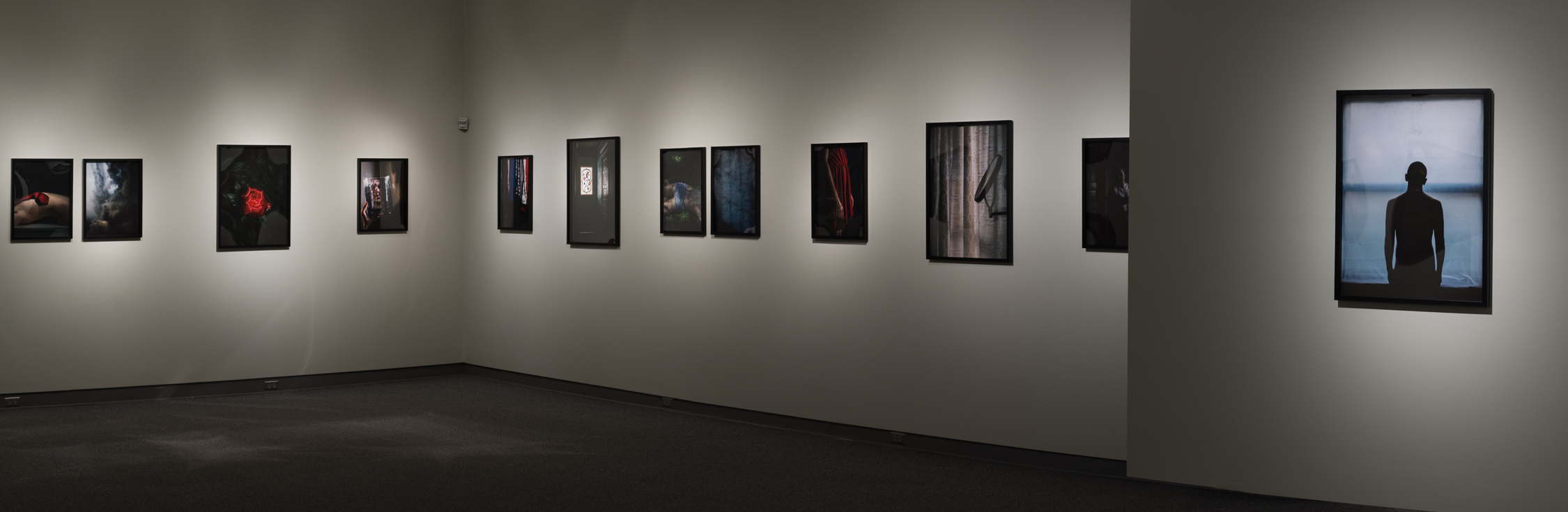 Installation view, The Rug's Topography