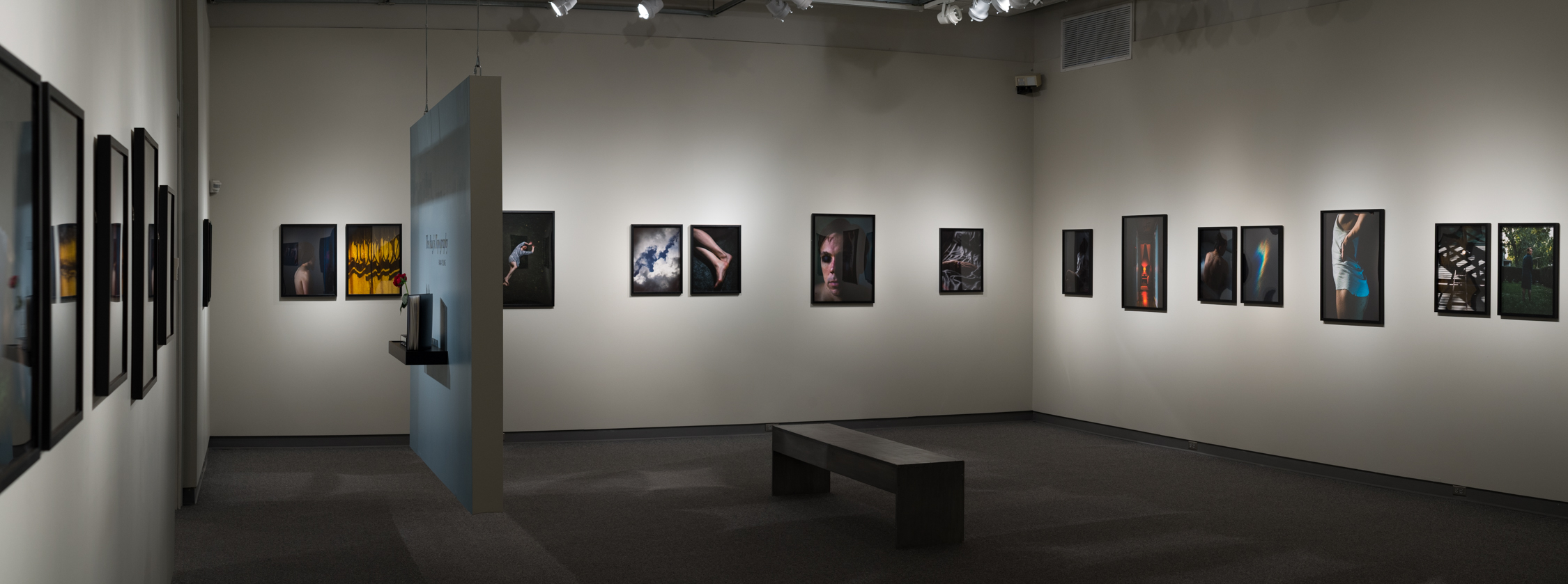 Installation view, The Rug's Topography