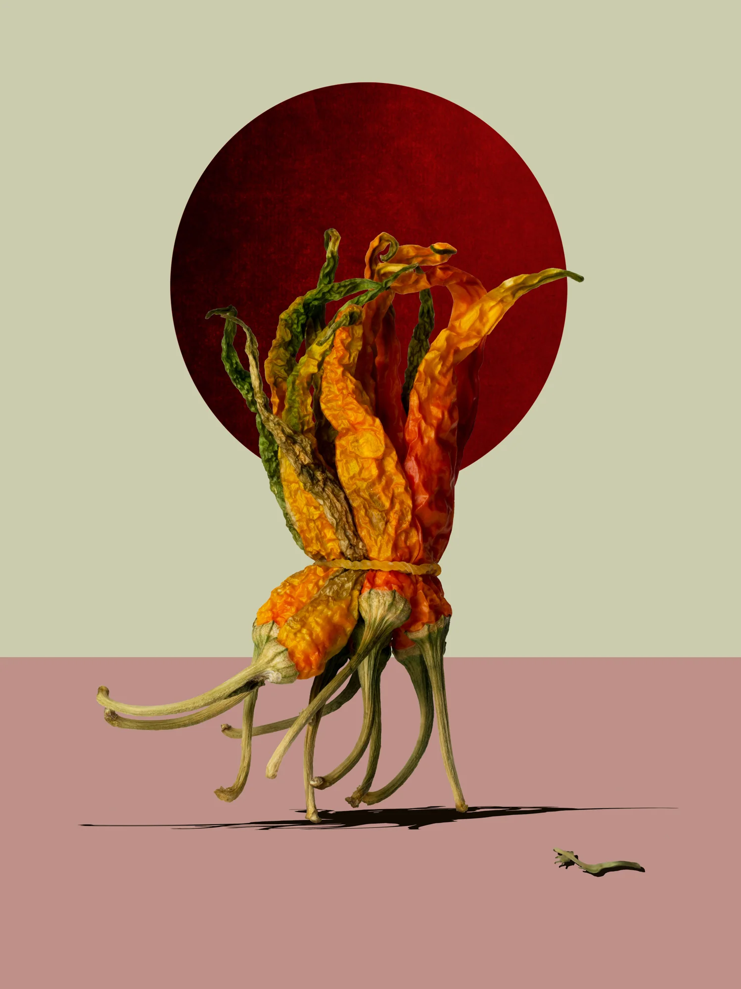shinya_masuda_hanafudashouzoku_p_0042.jpg