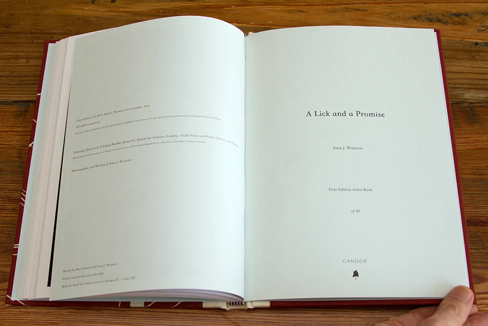 Text spread from A Lick and a Promise , published with Candor Arts, Chicago, IL, 2017