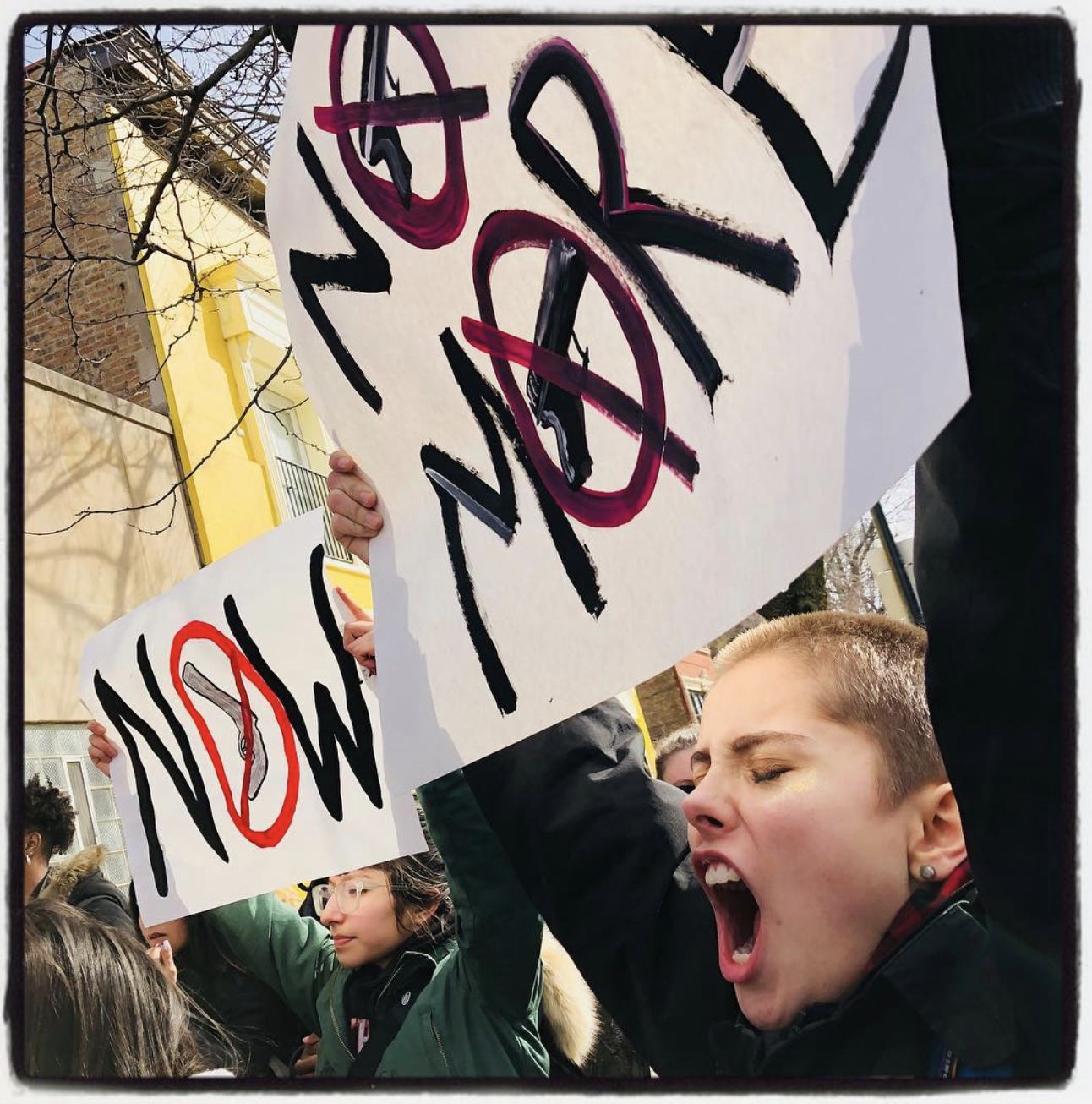  © Meg Handler, school walkout against guns, 2018 