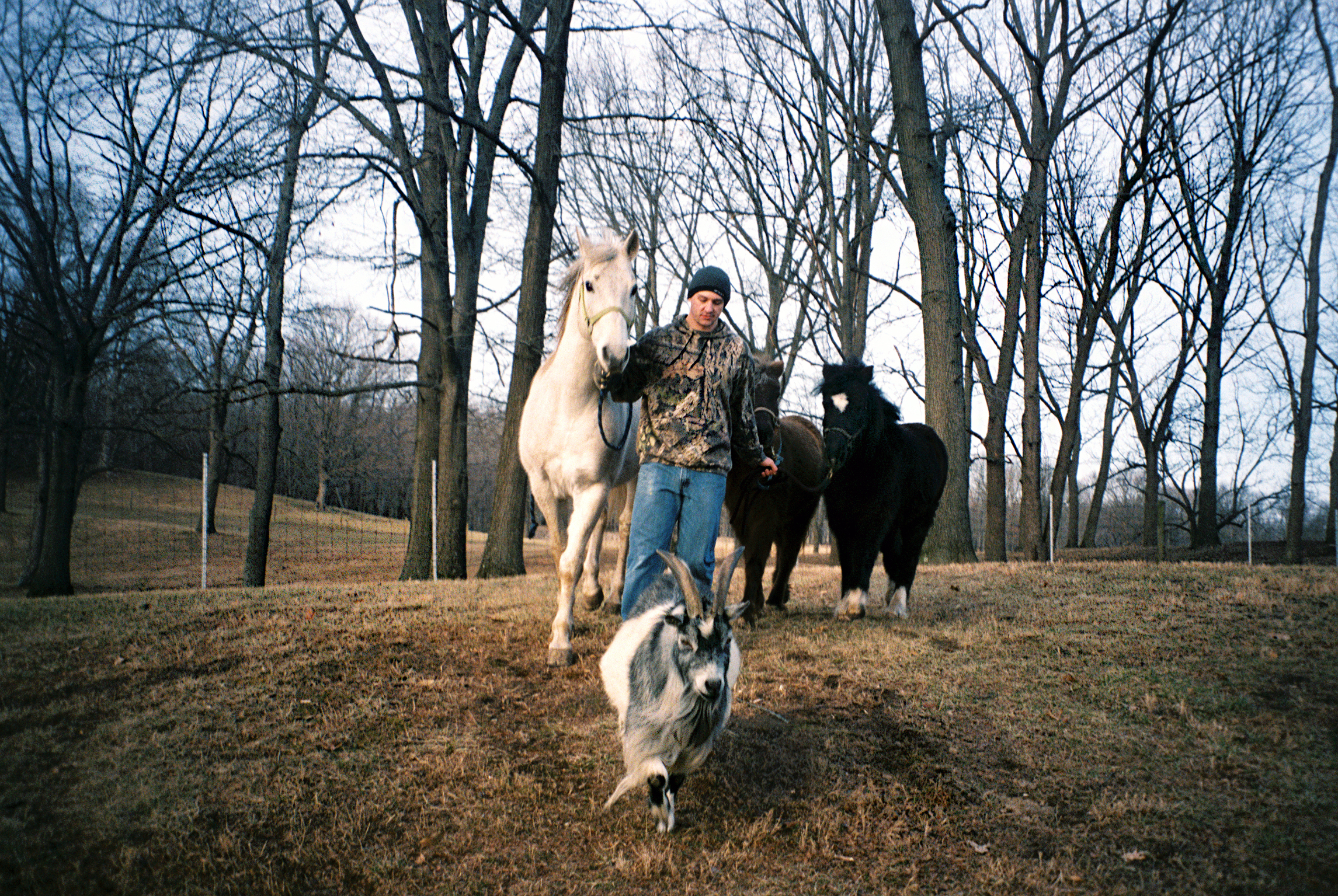  Brian walks his family’s farm animals from their pens to the barn in Danville. Brian served in the Navy for four years — staying in 12 different countries — before returning home to care for his ailing grandfather. 