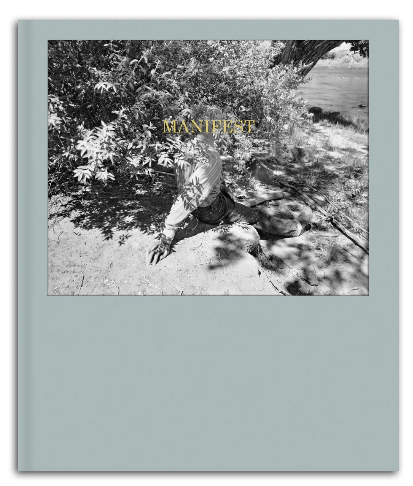 TBW-Books-Manifest-Kristine-Potter-Cover-Front-Mock_nb_9db0250e-c6f6-4b92-8701-1b12b68f15c1_2048x2048.jpg