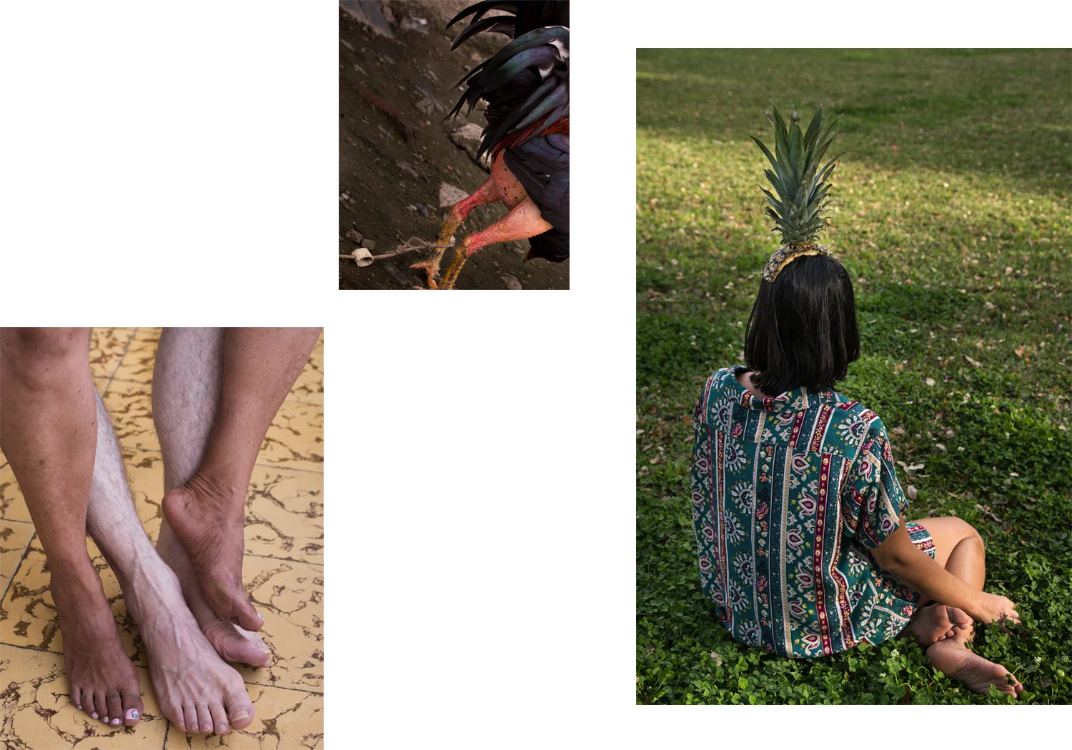 collage4.jpg