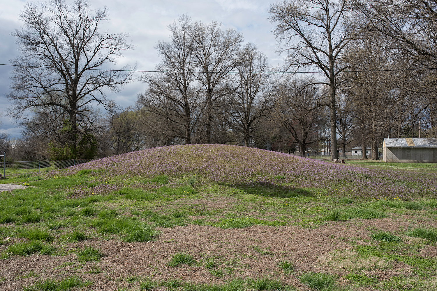 Mound.6330.jpg