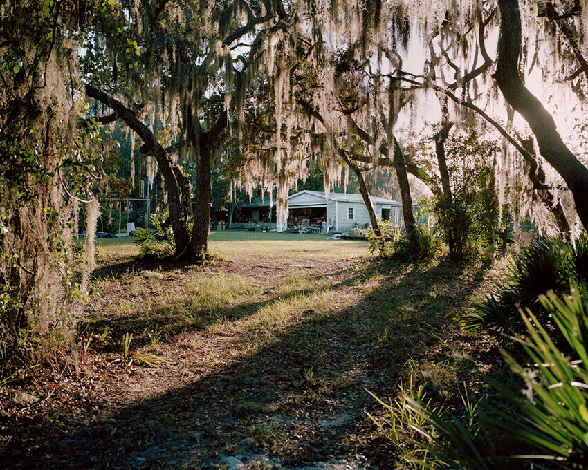 Long Shadows and Spanish Moss, from A Bee in Her Bonnet