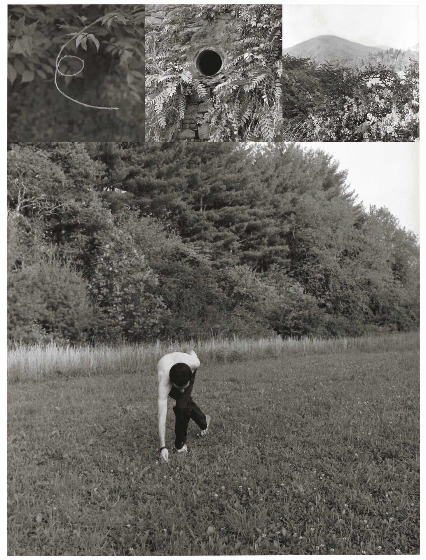   Bea Nettles  (American, b. 1946).  Dance , 2001, from  Return Trips.  Inkjet print. Collection of the artist. © Bea Nettles 