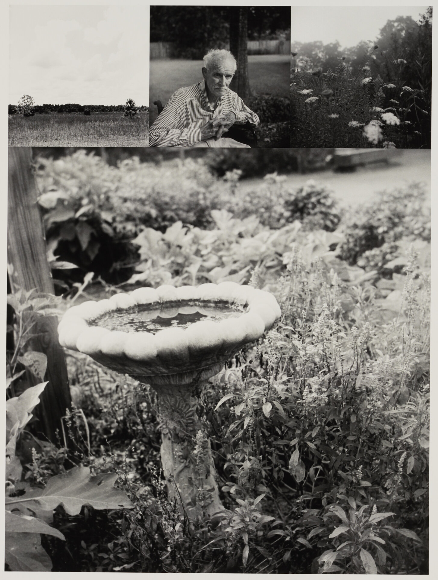   Bea Nettles  (American, b. 1946).  Birdbath , 1999, from  Return Trips.  Inkjet print. George Eastman Museum, gift of the artist. © Bea Nettles 