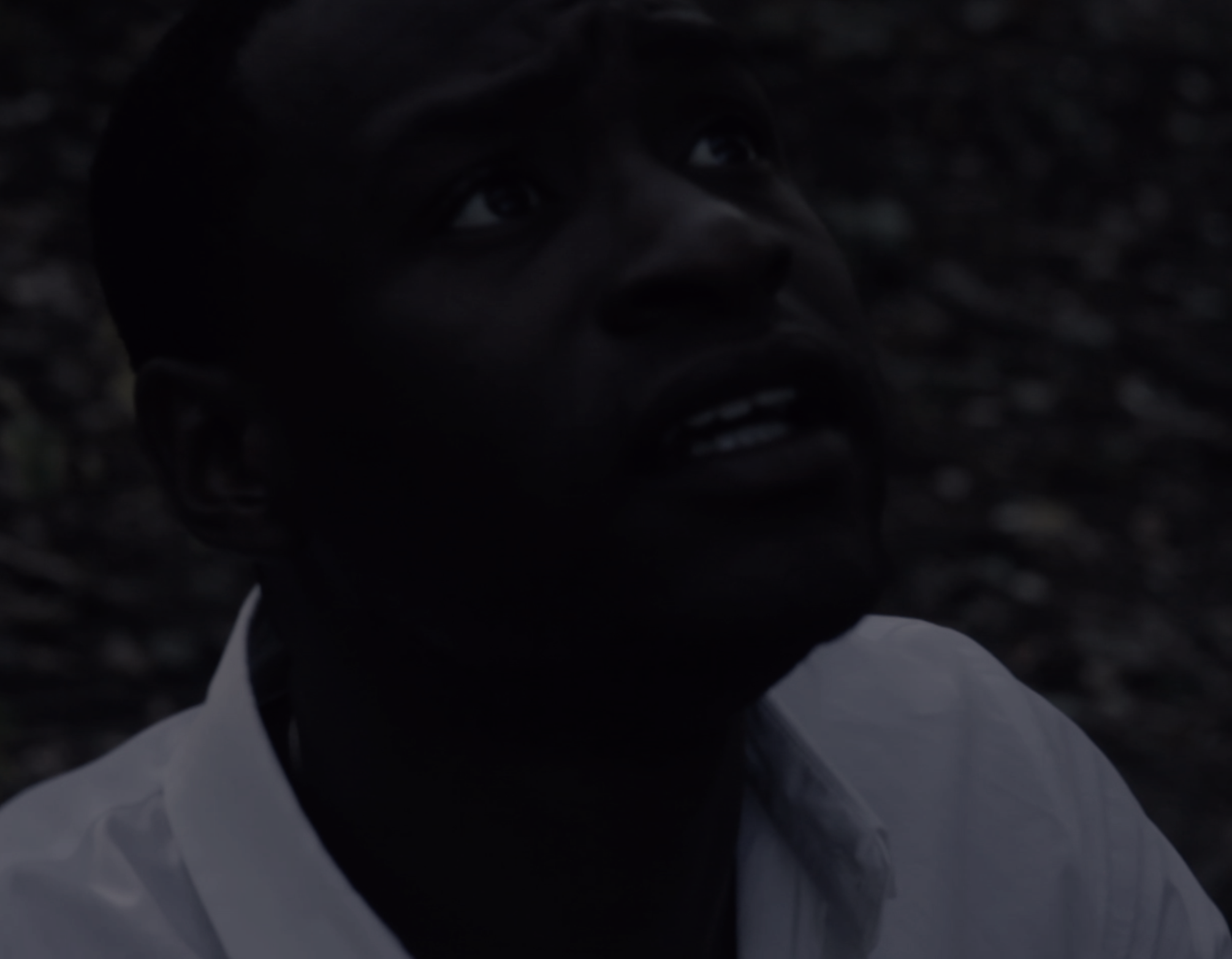  ‘The Black Boy and The Tree’ (2016), written &amp; directed by Shikeith, 4:49, follows a Black man (Michael Oloyede), as he journeys into the woods to persuade a mysterious Black boy to come down from a tree he has made his home. 