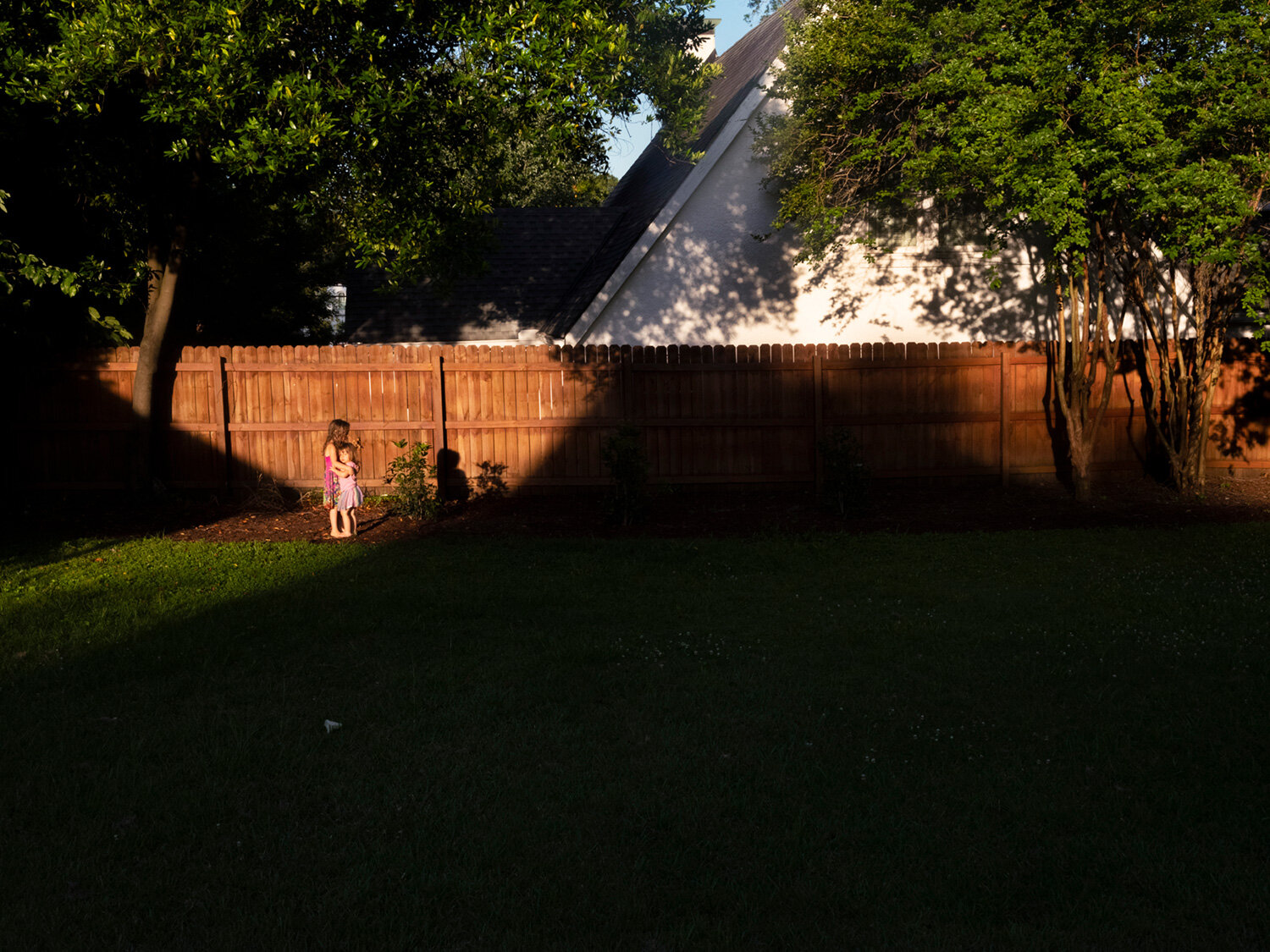   Long Summer Shadows  