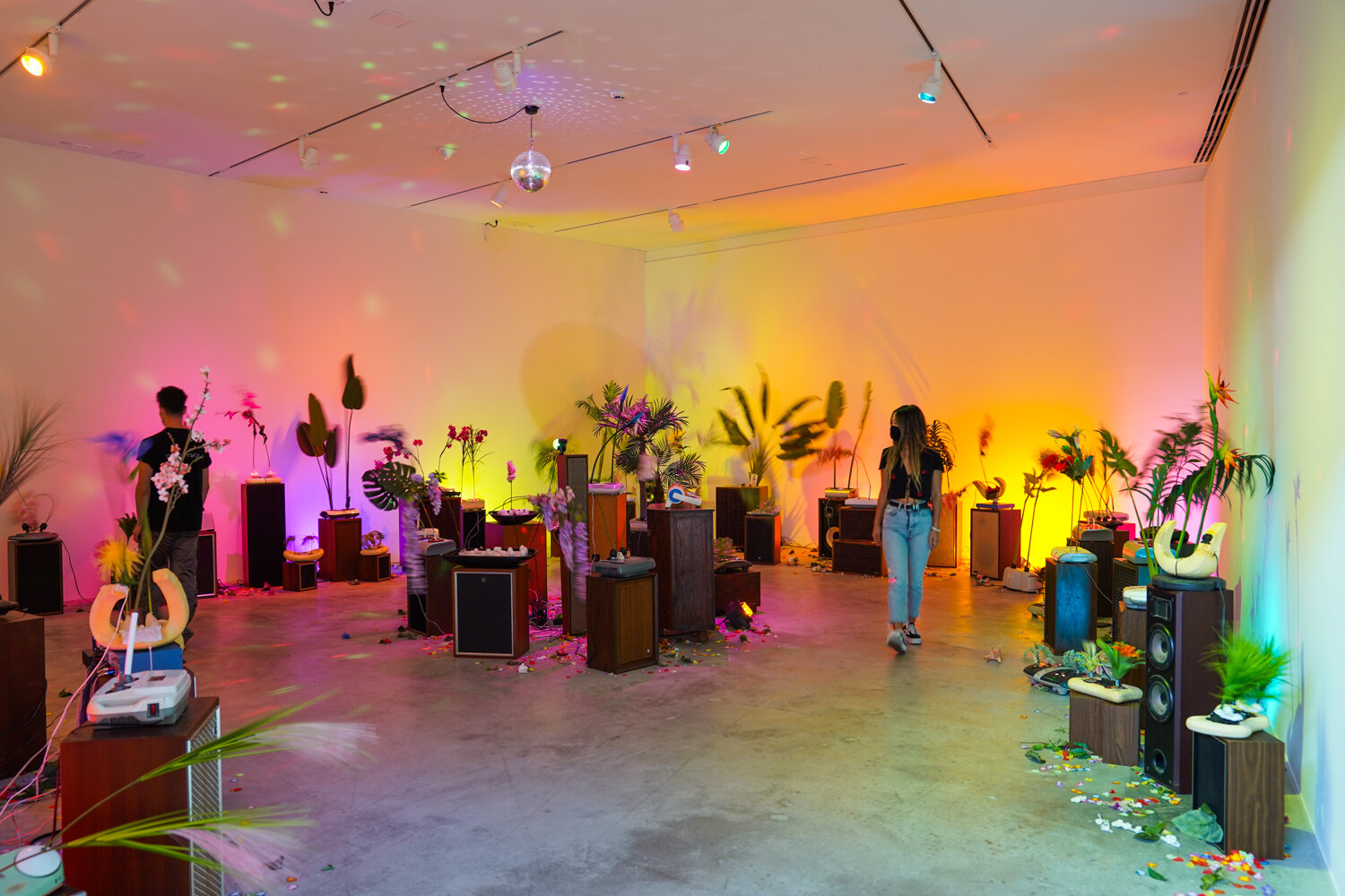   Gather,  Contemporary Art Museum, St. Louis   Massagers, artificial plants, speakers, sound, 2020 Installation photograph by Dusty Kessler 
