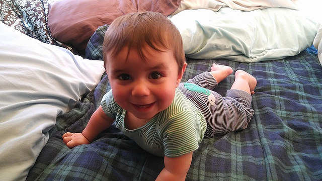 28907642500_8debbcd631_z.jpg