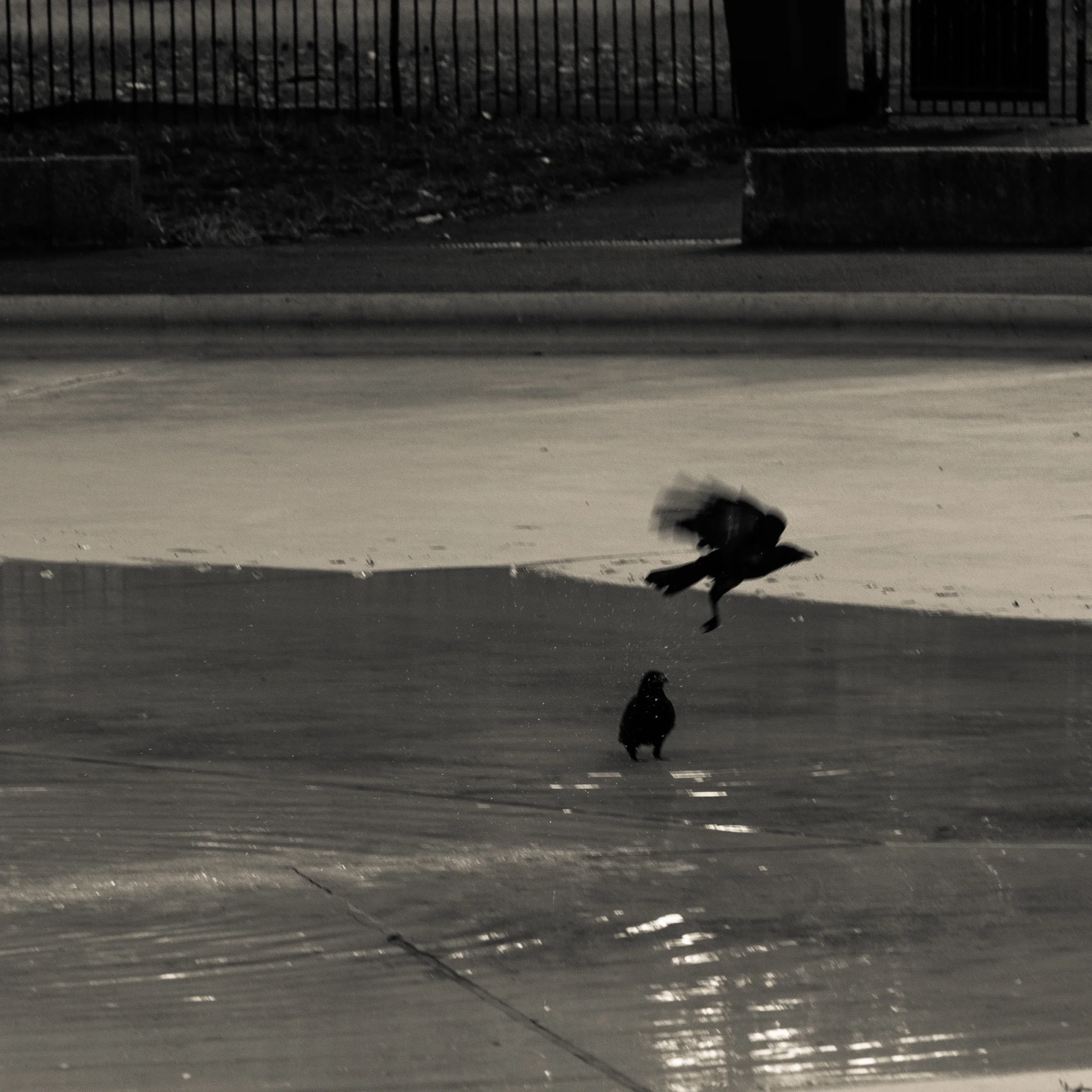 -London IV.- / La berceuse.