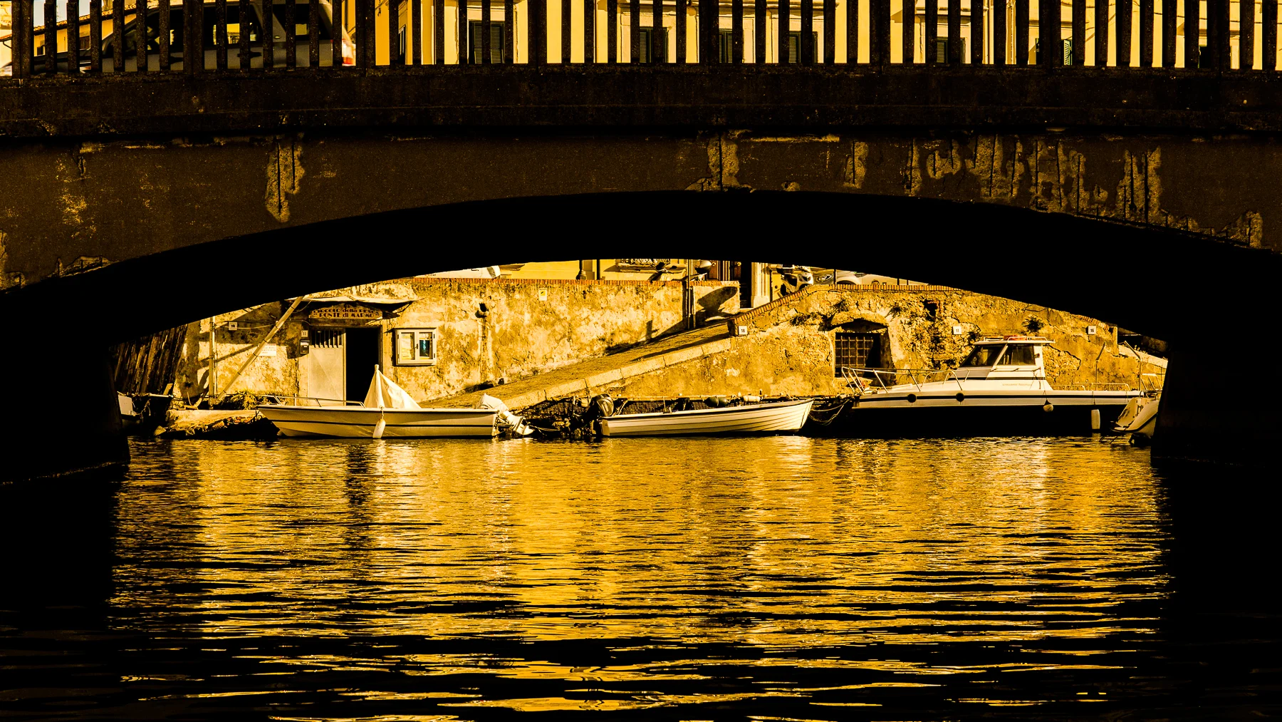 _J4A0695.jpg