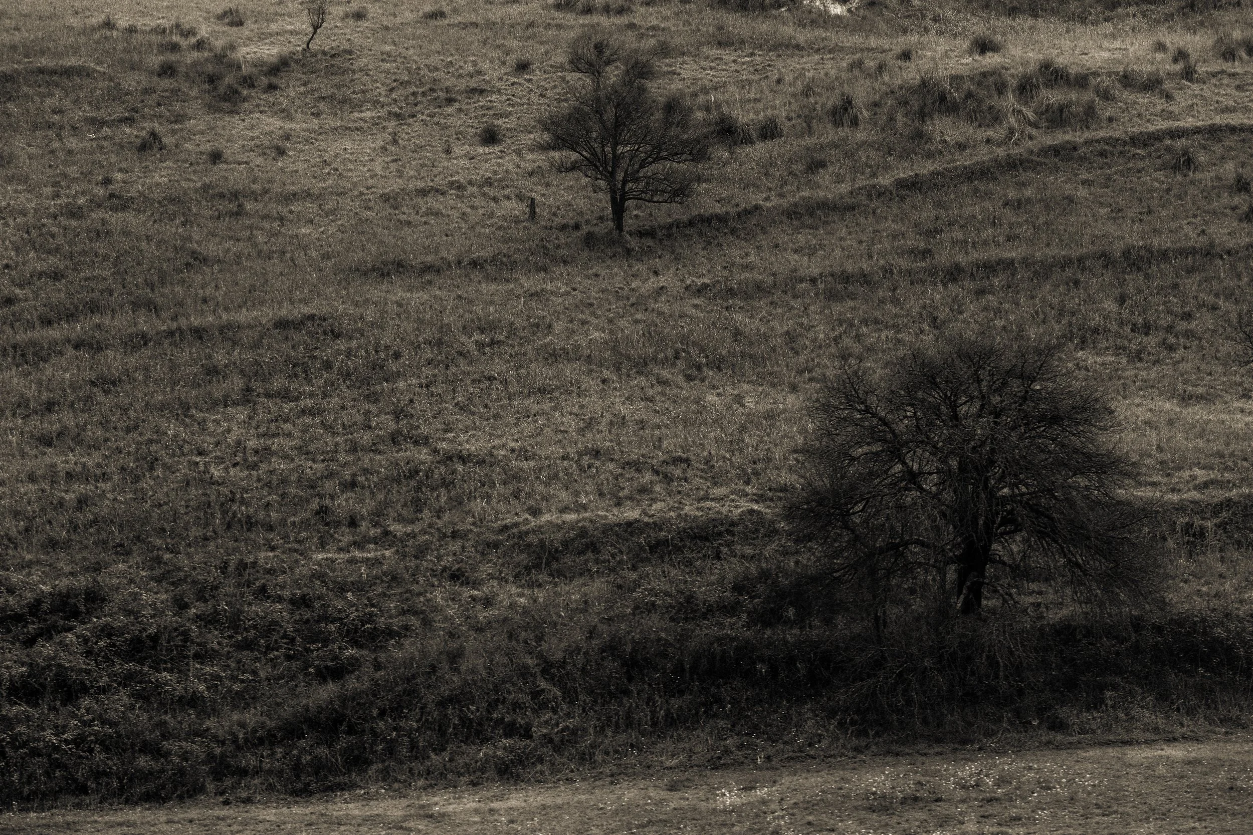 _J4A3267_1.jpg