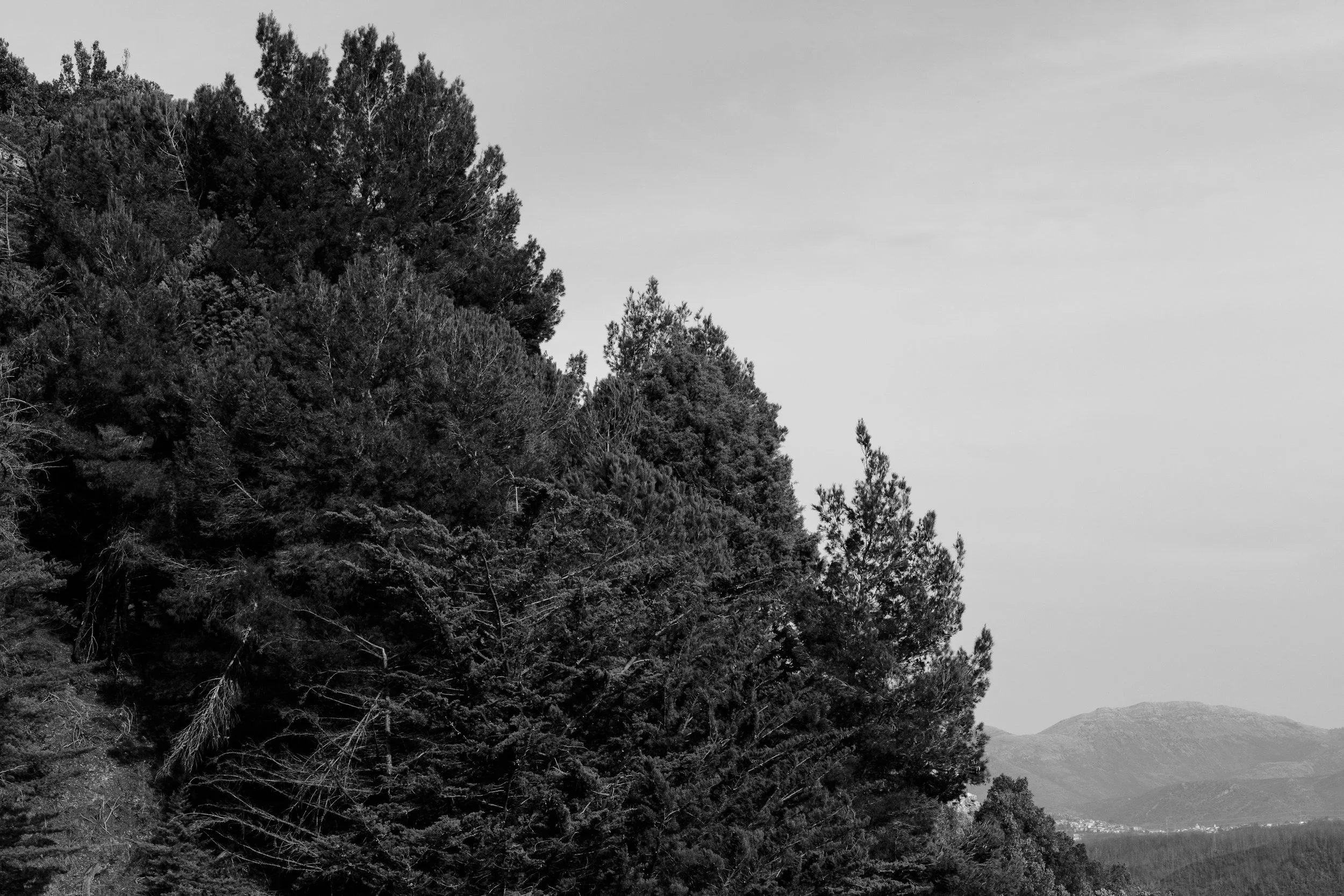 _J4A3564_1.jpg