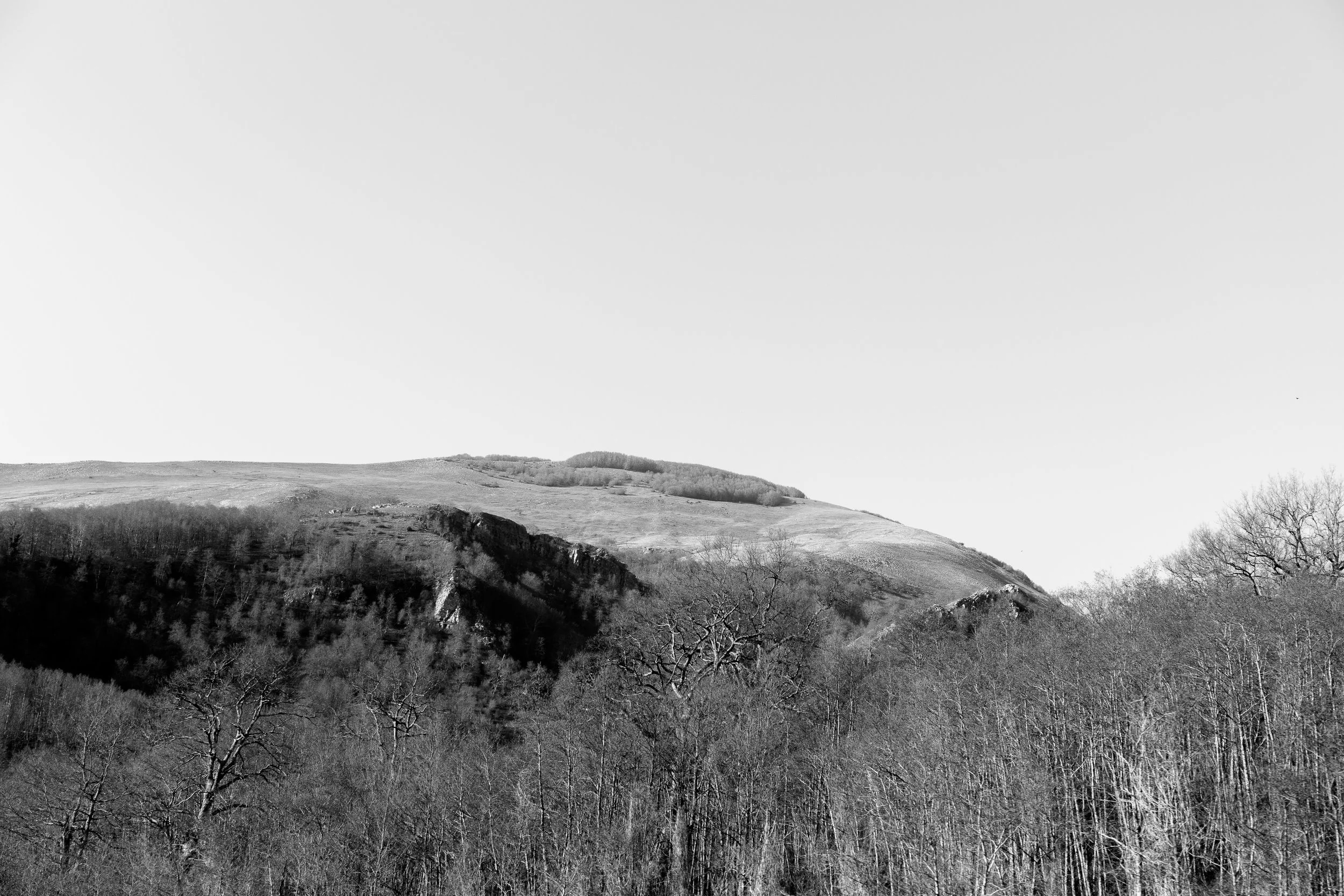 _J4A3624_1.jpg
