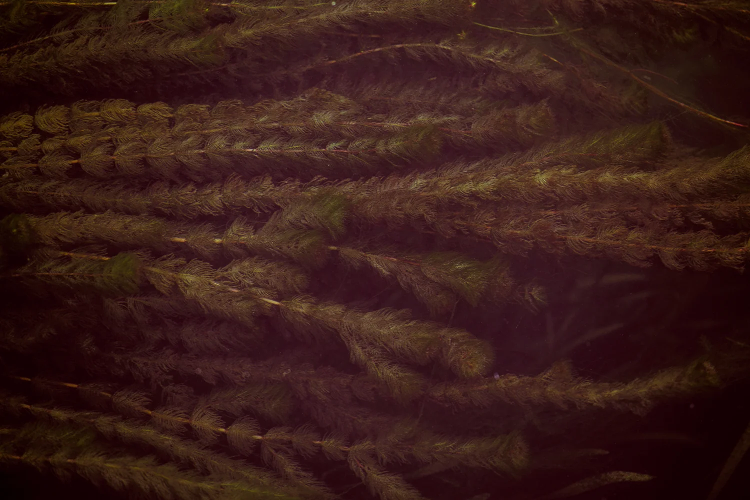 Solo qualche pensiero. / III.