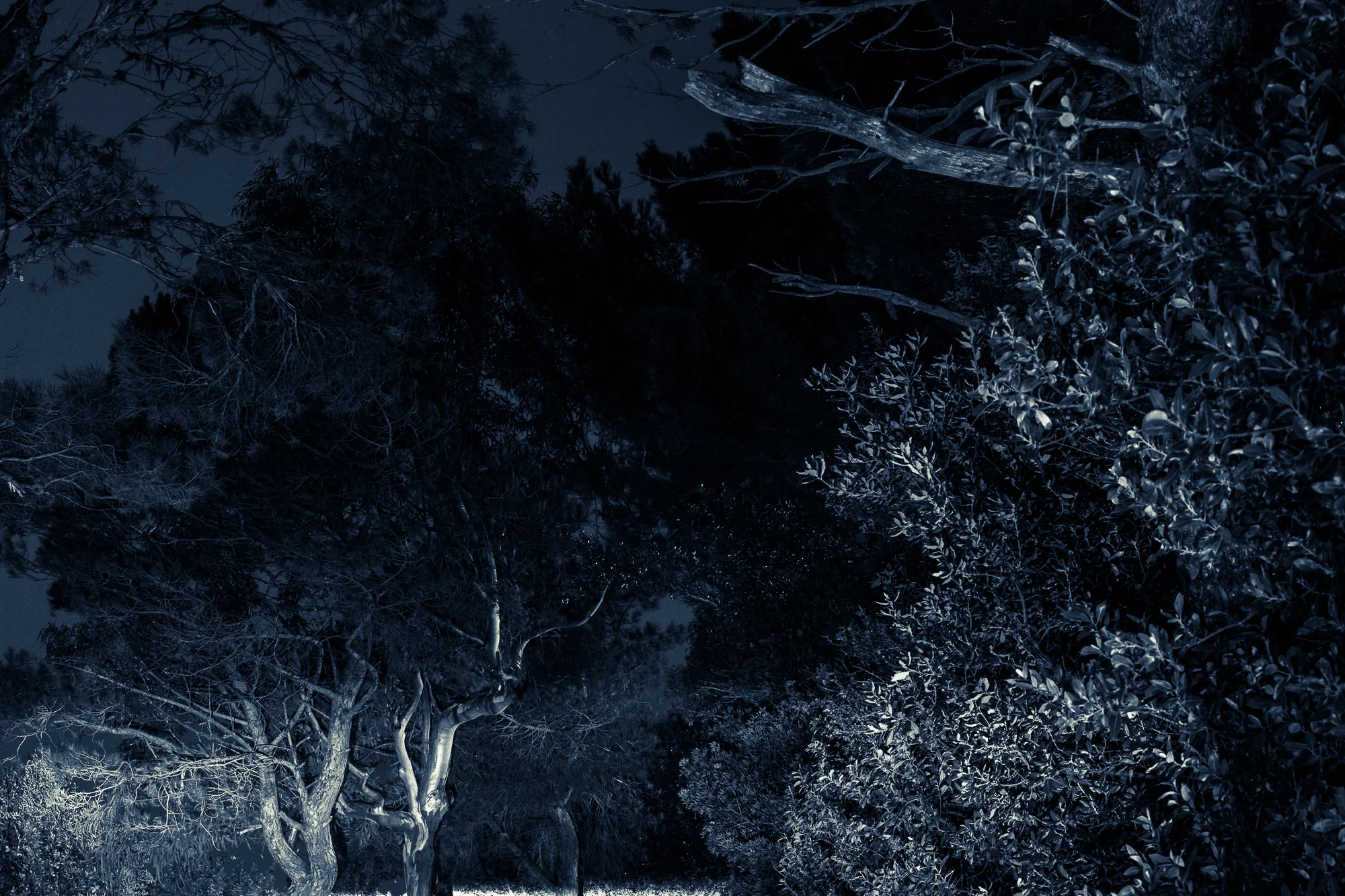Night. / Blue.