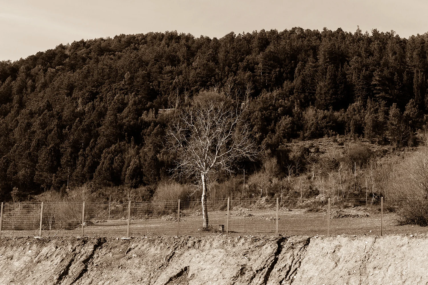 initinere-in-itinere-lilian-alexi-capuzzimato-paladino-landscape.jpg