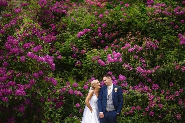 Aisling + Frank having a great time behind a wall of Rosie Dandrums 🌷