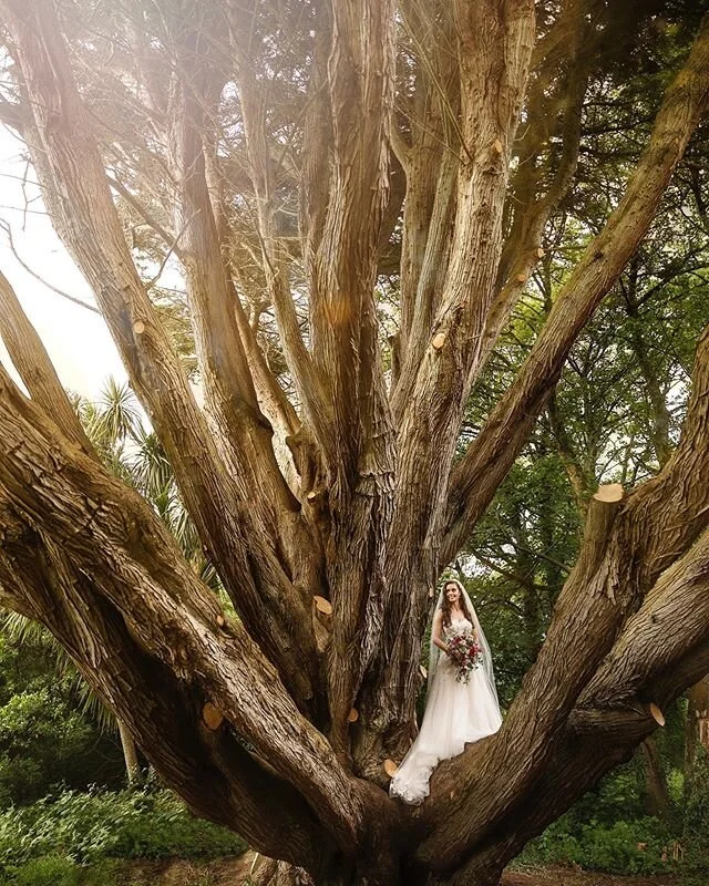 You know the photos will be good when the bride brings a ladder to the wedding! #legend