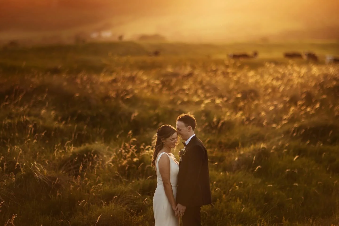 The absolute dream 🤌
Epic sunset, pints of Guinness, a Donegal match and to top it all off - photo 6 won a @weddingphotojournalists award 👌

@siobhanobrien8 @shanecoll3 
📍 @drumhallahouse 
💄 @kerriejames_makeup 
💇&zwj;♀️ @meghanlairdhair_makeup 