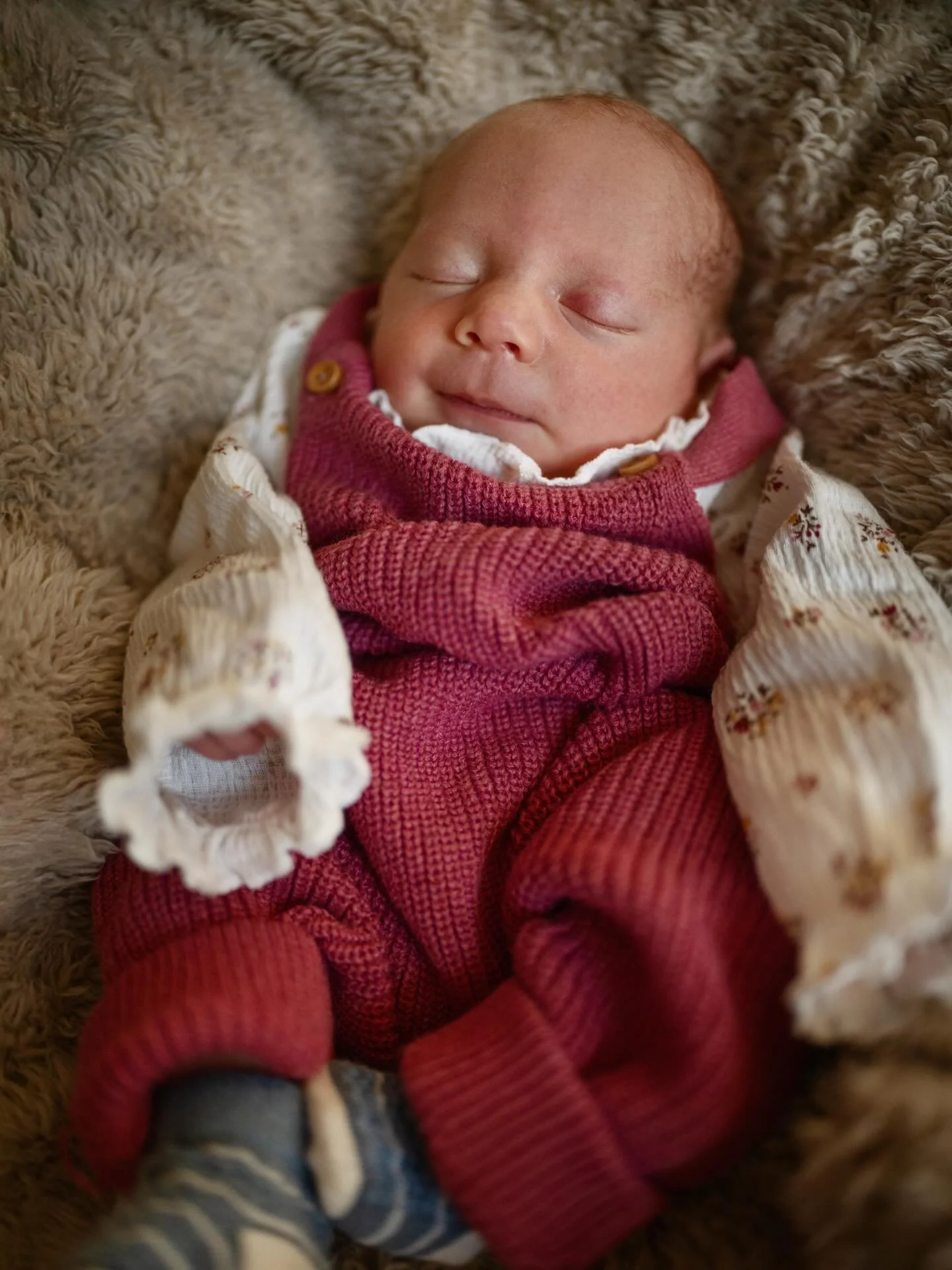 We had an early Christmas present this year with the arrival of our little baby Florence 💕 life has never been so magical 
@brodie_coco