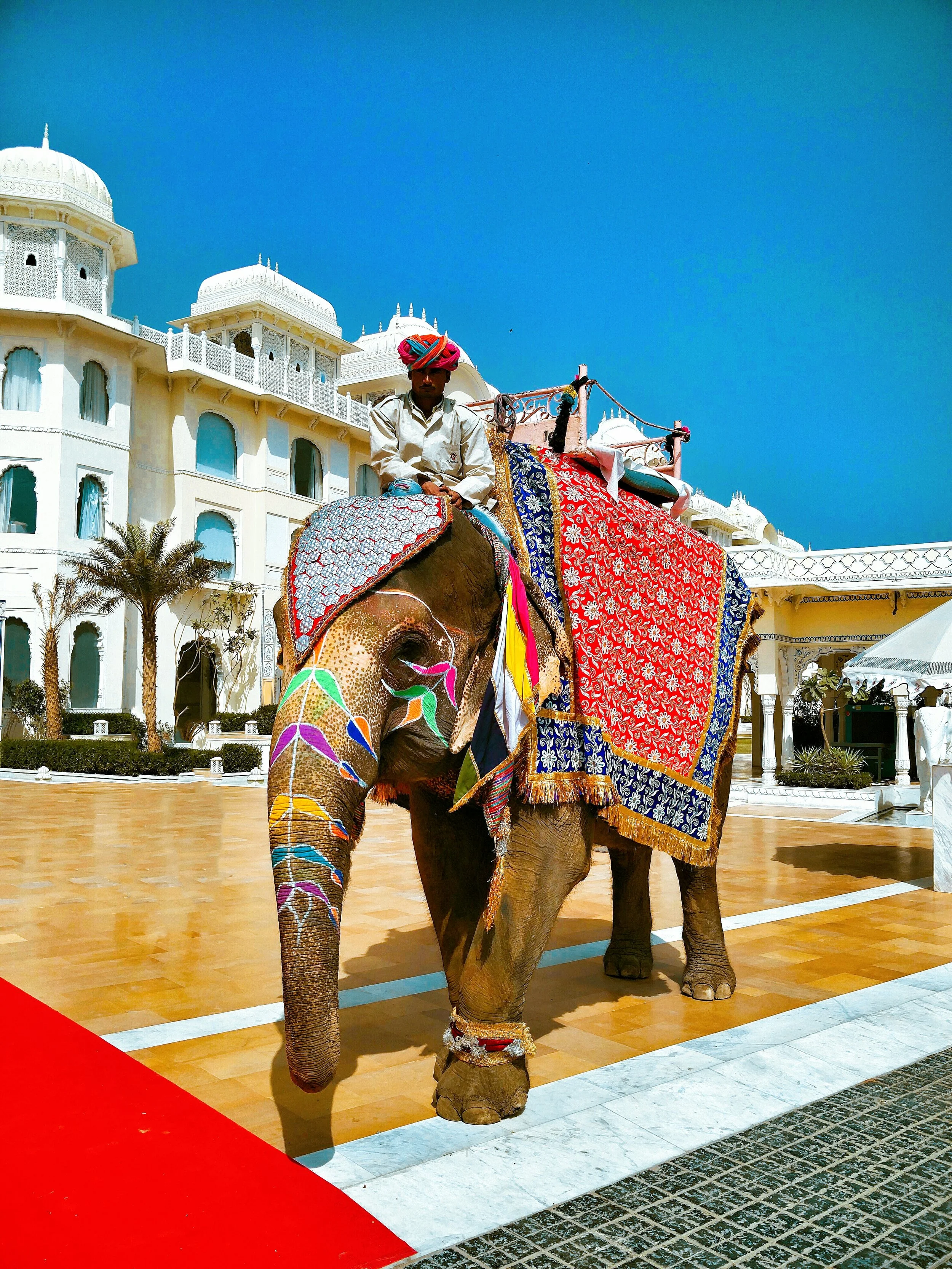 The-Chic-Armoire-Jaipur-JW-Marriott-5
