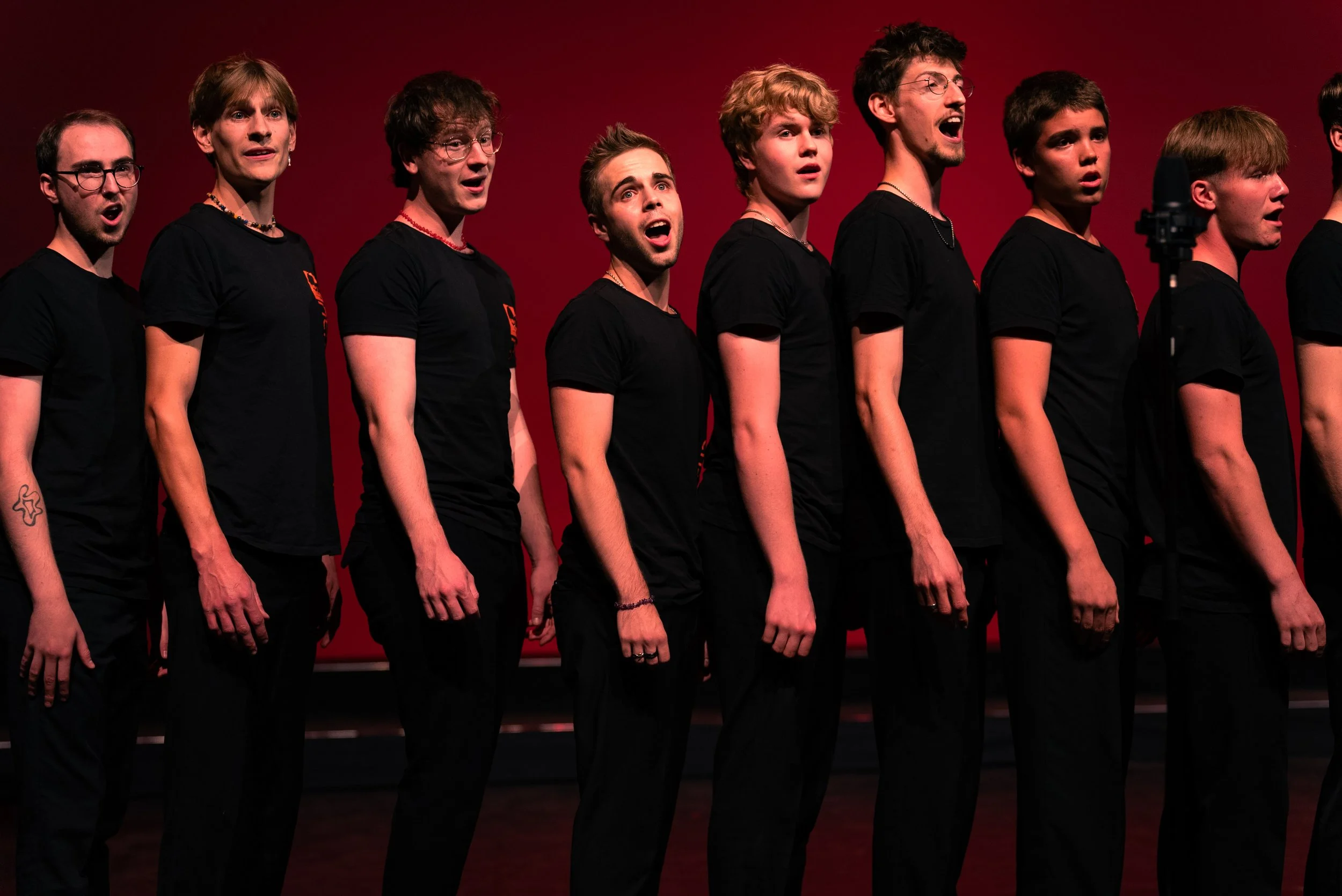  Preisgekrönt in Genk: die Herrenstimmen des Boys Choir Lucerne 