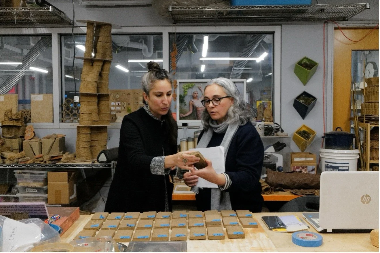 Fikriye Pelin Kurtul-Vacek