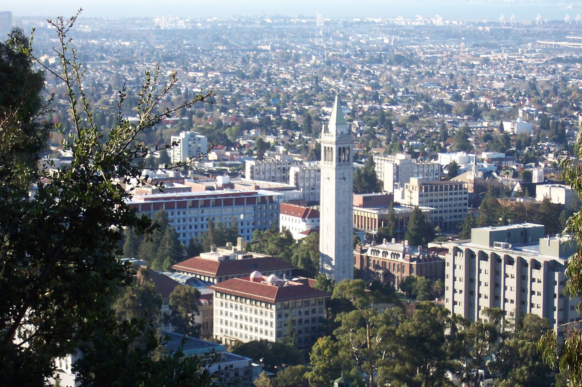 Overview of the University of California, Berkeley campus from the Berkeley Lab, from up the hills and south-westward. California, USA. Wikimedia/ User Introvert