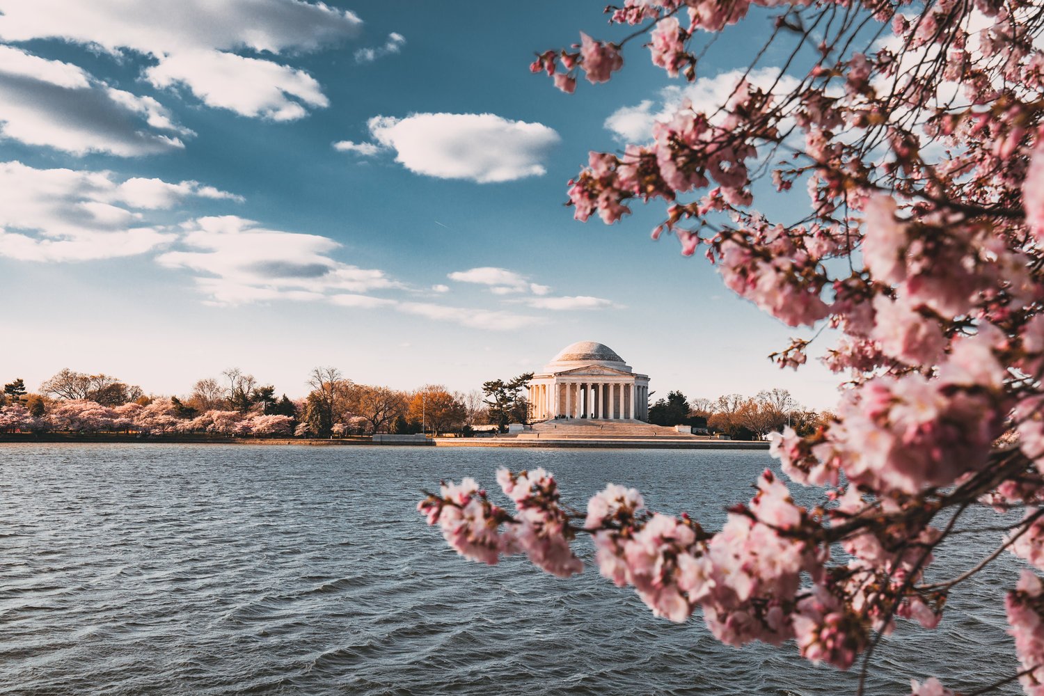 Call for Applications: 2019-20 Austrian Marshall Plan Foundation Visiting Scholars, Johns Hopkins SAIS