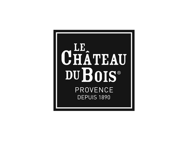 LE CHATEAU DU BOIS