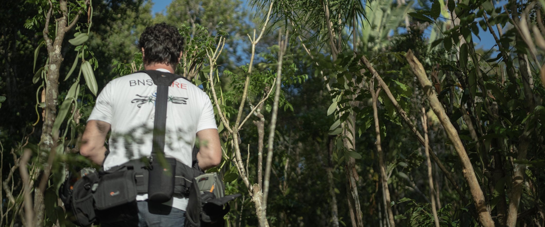 Sylvain_Hart_Lafabrikfilm_audiovisual_production__Robertet_Group_BNSCare_Madagascar_footage_A7SIII_sony_DJI_Air2s_05.jpg