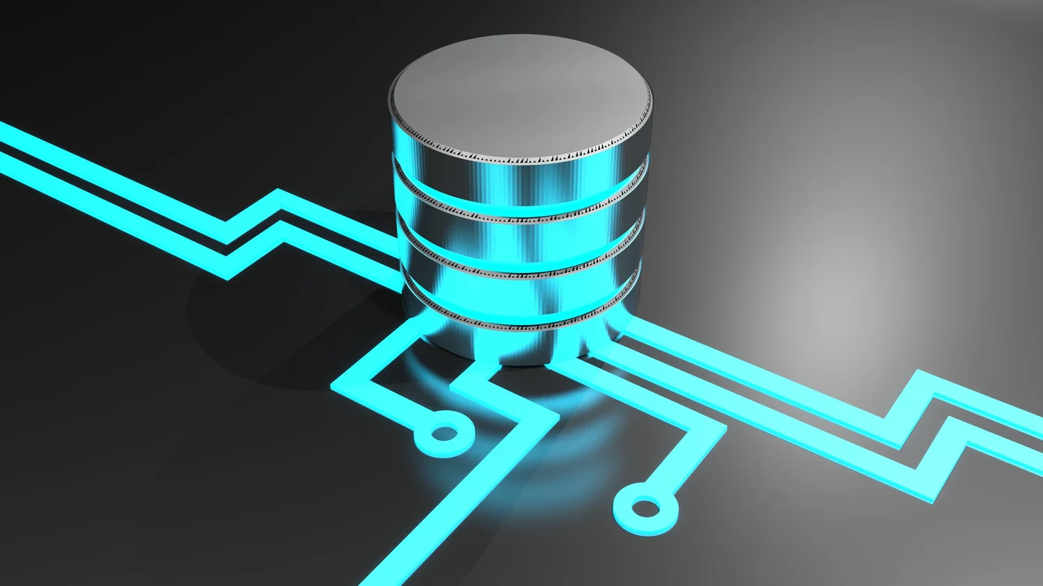 Rows of organised records representing a relational database management system