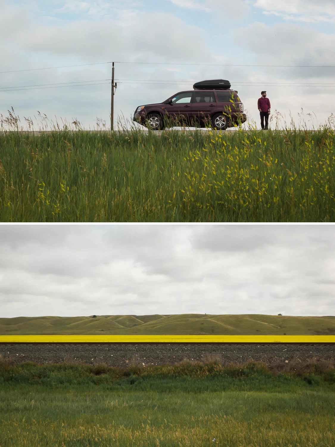 Vibrant yellow rapeseed (horrible name) fields blanketed much of the North Dakota countryside. It's apparently used in producing cooking oils and animal feed. 