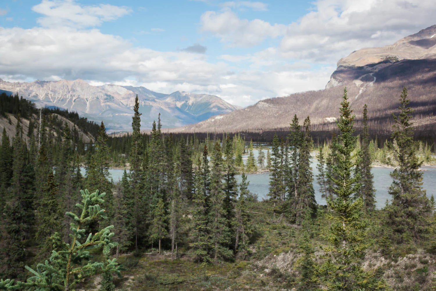 BAM! We hit mountains. The Canadian Rockies to be exact. Widely considered one of the best scenic drives in the world, Icefields Parkway is a 144-mile stretch of winding two-lane highway linking Banff to Jasper. It was impossibly, overwhelmingly beautiful. The road itself feels swallowed up by the soaring peaks, snaking its way through an alpine paradise of such scale we felt like specks of dust. We're so grateful to our friend Dacia (who has done the Chicago > Alaska drive several times herself and who was instrumental in making our entire move a success) for suggesting we reroute our original itinerary to include this area.