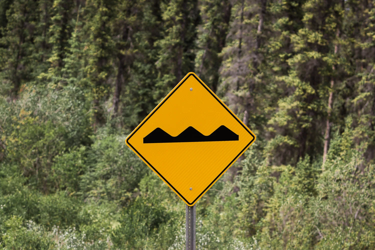 How I grew to dread this sign with the squiggles. We'd read about frost heaves during the planning process, but weren't prepared for the stress they'd bring to the driving experience. Mother Nature really flexes her muscles with this phenomenon; she basically annihilates roads that sit atop permafrost, causing them to lift and buckle in really gnarly ways. Think speed bumps on steroids. We couldn't take our eyes off the road; while some areas of frost heaves were marked, many were not and you could easily rattle your car to the point of rendering it undrivable if you hit one too quickly. The second (northern) half of the Cassiar is the portion that didn't see the dramatic improvement that we'd read about. The road narrows to one lane, shoulders and guardrails disappear and pavement becomes riddled with potholes and frost heaves. Top it off with some steep grades, switchbacks, stretches of gravel/dirt in lieu of concrete and 35 mph becomes your top speed. Needless to say, this portion along with several stretches of rough road on the Alcan made for some challenging driving. 