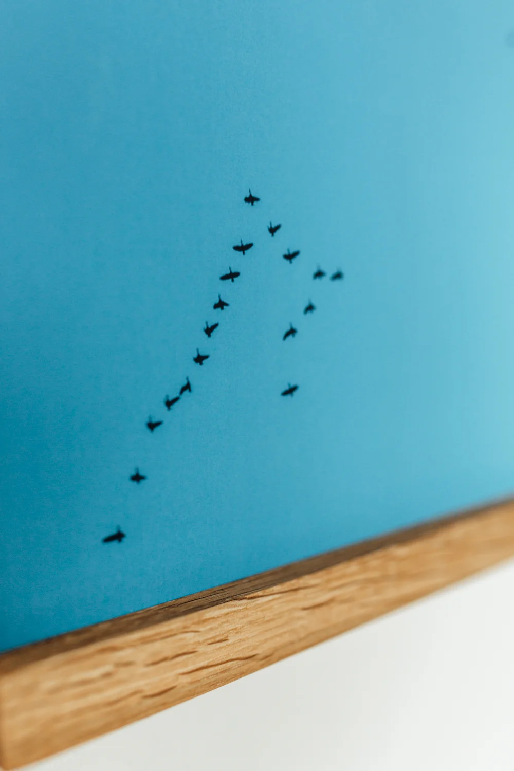 migrating-birds-detail.jpg