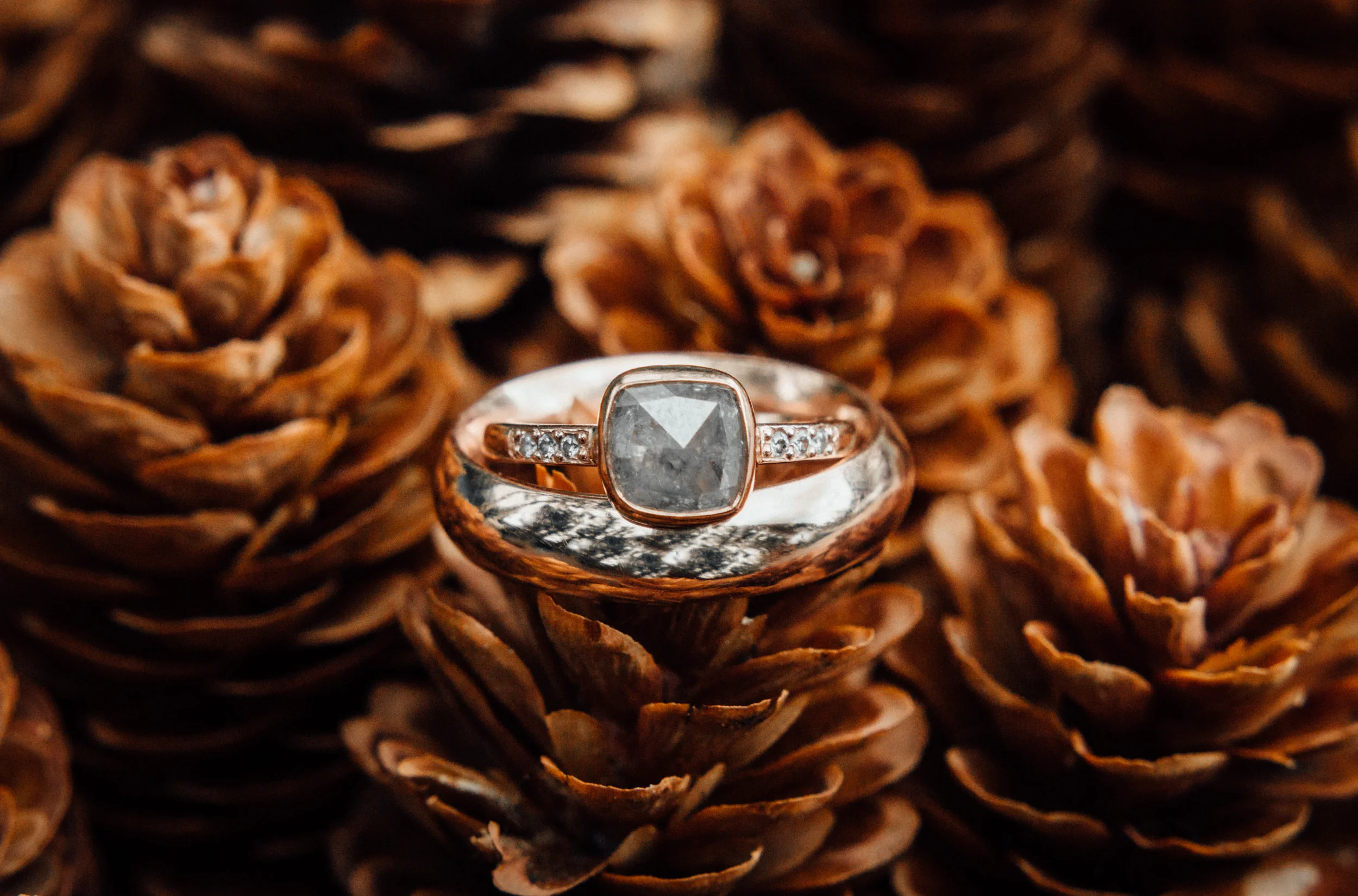 ring-shot.jpg