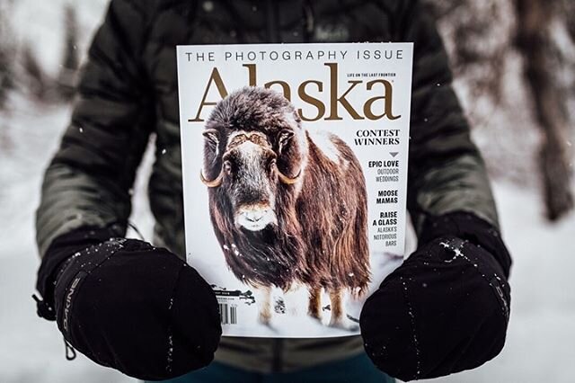 ⁣
Such fun to see two of my photos (of two of my favorite things - wildlife and weddings) printed in this month&rsquo;s @alaskamagazine. ⁣
⁣
The first won the &ldquo;Alaska Life&rdquo; category of the photo contest, and I still can&rsquo;t get over h